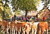 Viehmarkt und Kirmes 2011